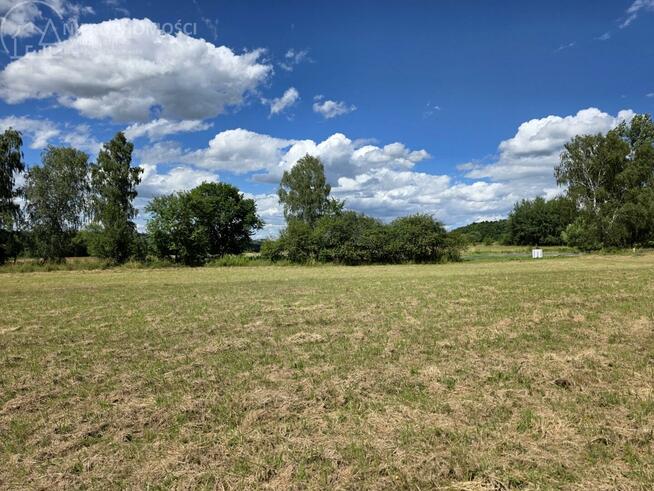 Działka rolna Lipinki