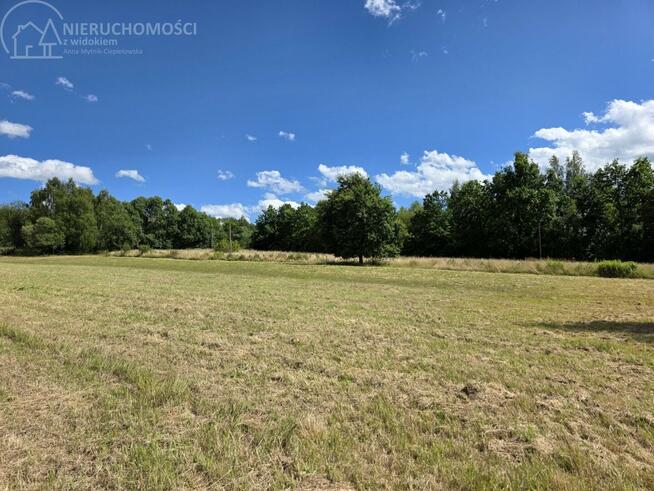 Działka rolna Lipinki