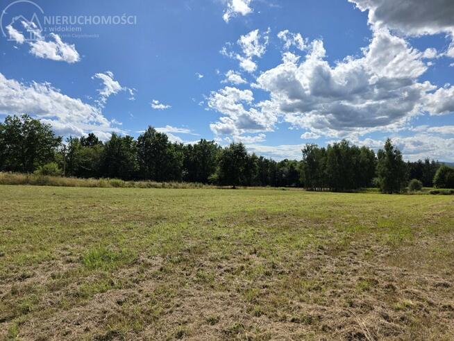 Działka rolna Lipinki