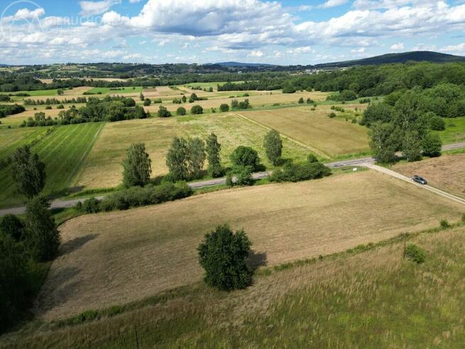 Działka rolna Lipinki