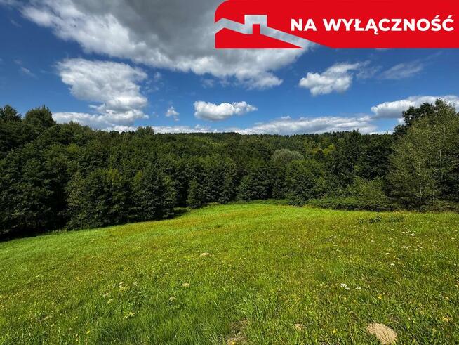 Działka Rolno-Budowlana | Wola Lubecka | Okazja