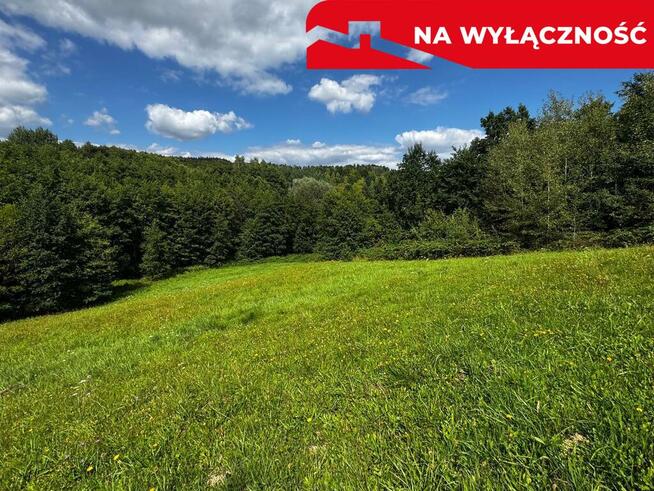 Działka Rolno-Budowlana | Wola Lubecka | Okazja