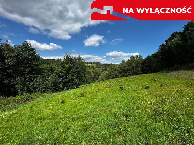 Działka Rolno-Budowlana | Wola Lubecka | Okazja