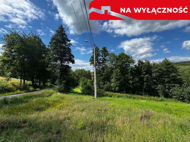 Działka Rolno-Budowlana | Wola Lubecka | Okazja
