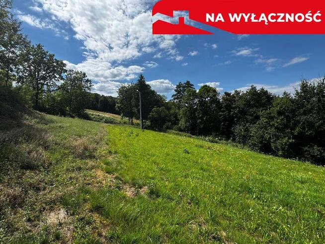 Działka Rolno-Budowlana | Wola Lubecka | Okazja