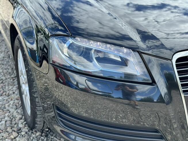 Audi A3 | Świetny stan | Szwecja