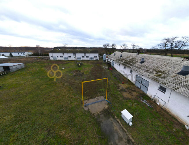 Lokal użytkowy Bucz gm. Przemęt,