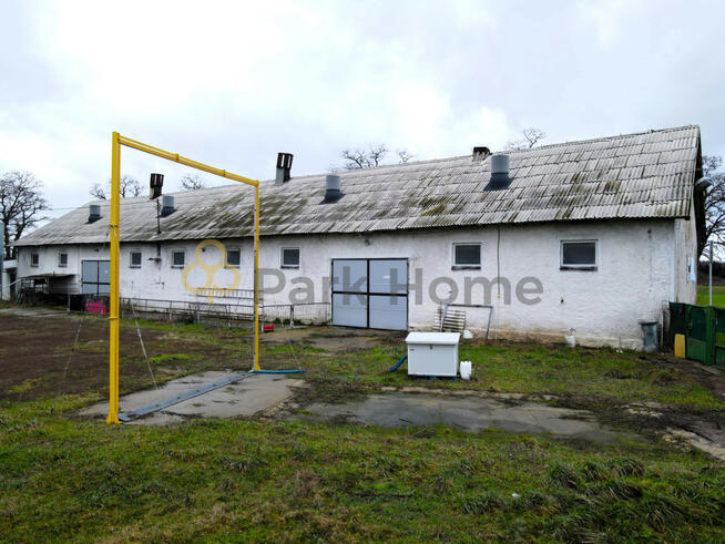 Lokal użytkowy Bucz gm. Przemęt,