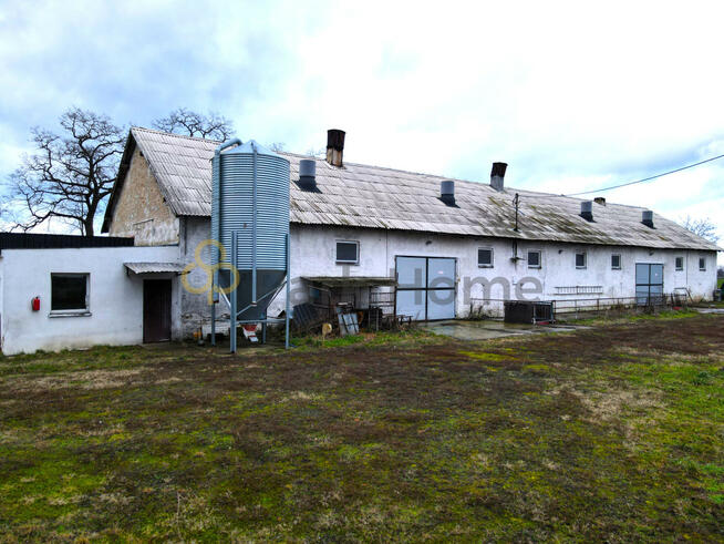 Lokal użytkowy Bucz gm. Przemęt,