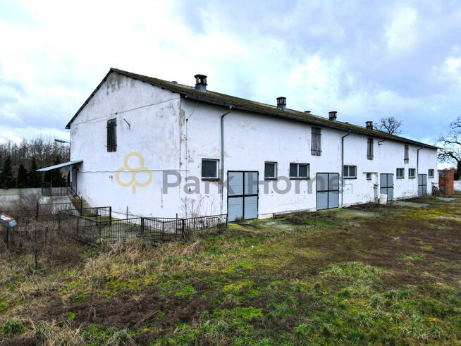 Lokal użytkowy Bucz gm. Przemęt,