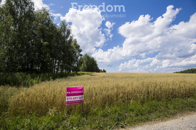 Działka z WZ siedliskowa 46 ar – Strzyżów okolice