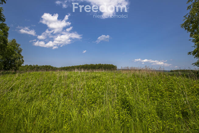 Działka z WZ siedliskowa 46 ar – Strzyżów okolice