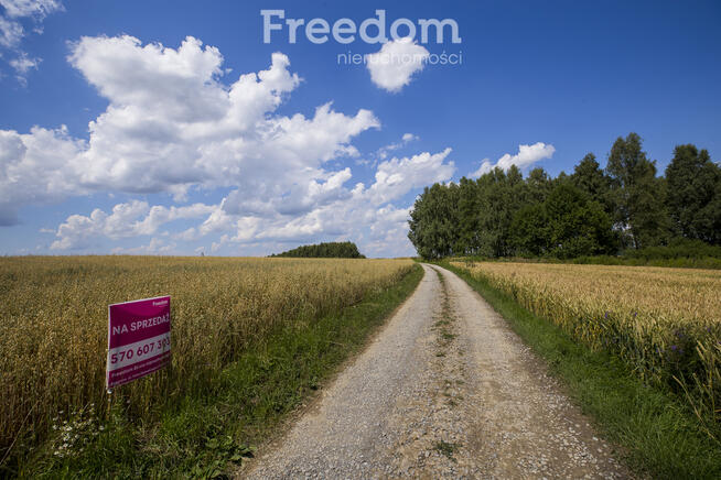 Działka z WZ siedliskowa 46 ar – Strzyżów okolice