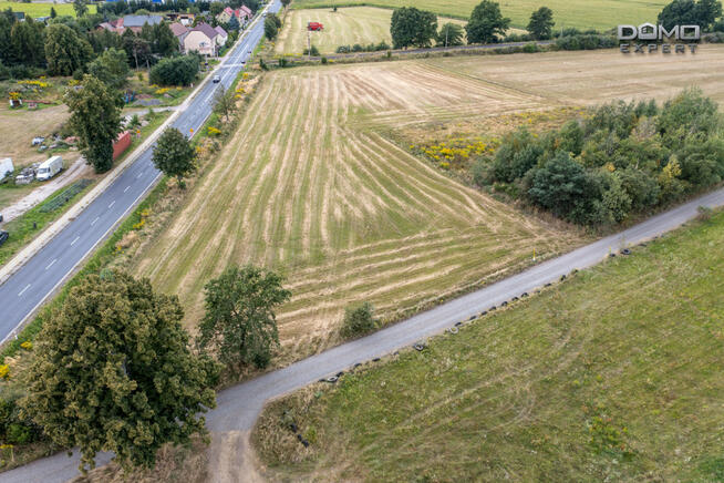 Działka inwestycyjna Wykroty gm. Nowogrodziec,
