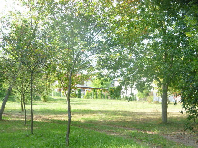 Działka 6700m2,gm.Dobra,dr.asf.las.