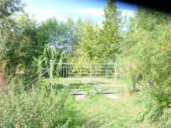 Działka 6700m2,gm.Dobra,dr.asf.las.