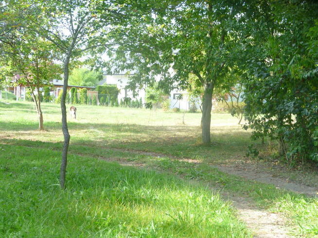 Działka 6700m2,gm.Dobra,dr.asf.las.