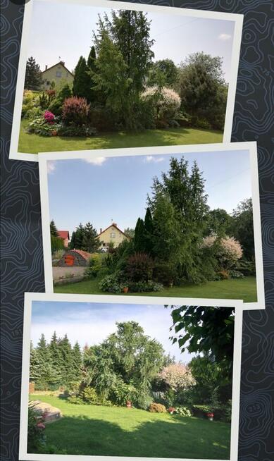 WYJĄTKOWY DOM „Z DUSZĄ” w centrum Jarosławia