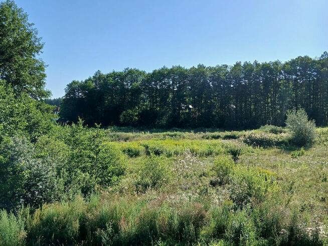 Atrakcyjny bliźniak z widokiem na łąkę i las