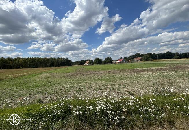 Na sprzedaż działka budowlana - Witkówek