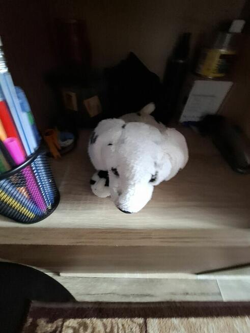 Regał pokojowy pojemny