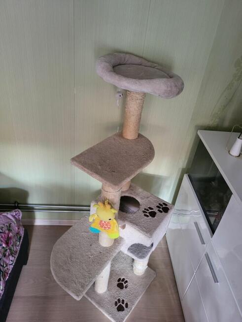 Duży drapak Trixie Alicante