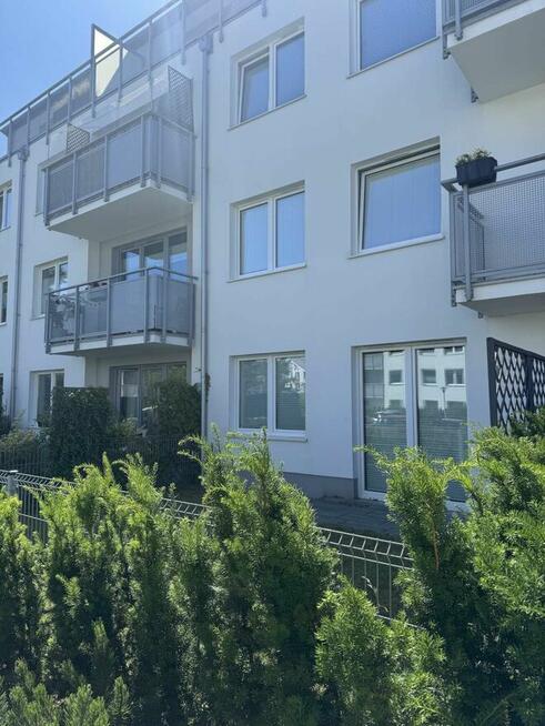 mieszkanie do wynajęcia