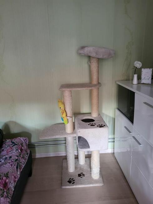 Duży drapak Trixie Alicante