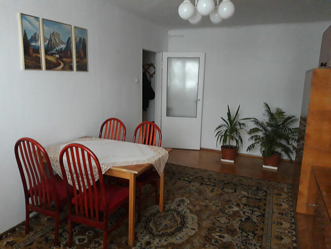 Planty, ul. Jastrzębia, 48.96 m2, 3 piętro, wolne od zaraz.