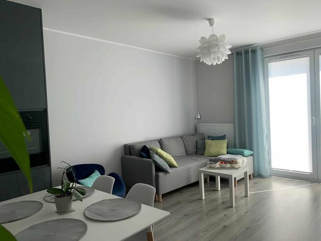 mieszkanie do wynajęcia