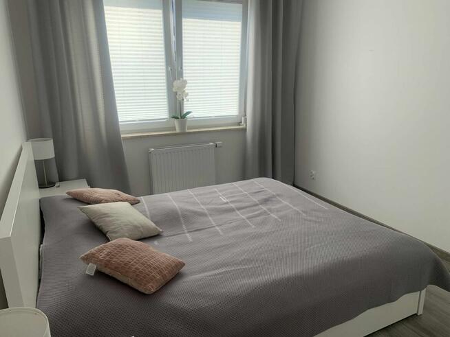 mieszkanie do wynajęcia