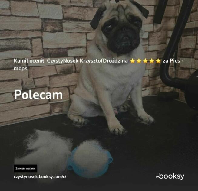 SPA dla psów / kotów