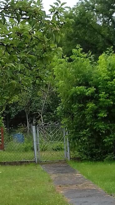 Działka ROD przy Okrężnej..