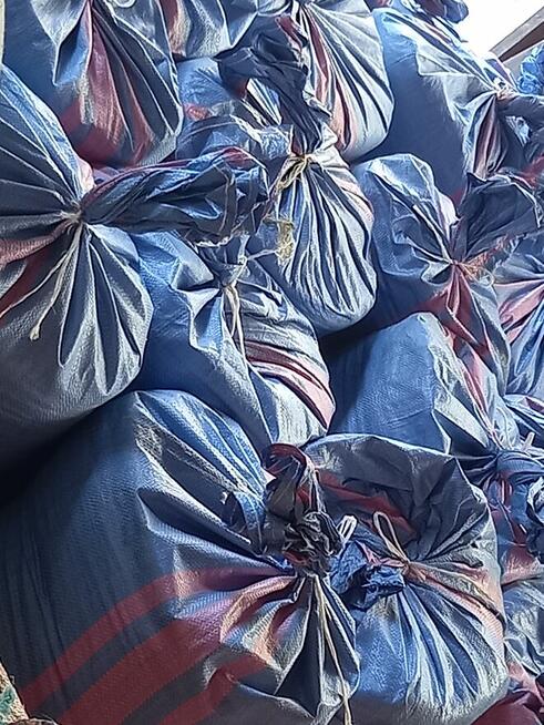 Przenica owies żyto