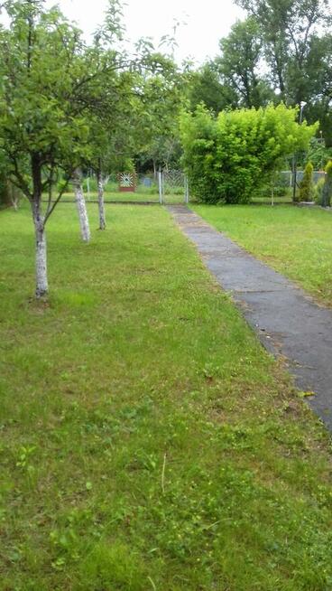 Działka ROD przy Okrężnej..