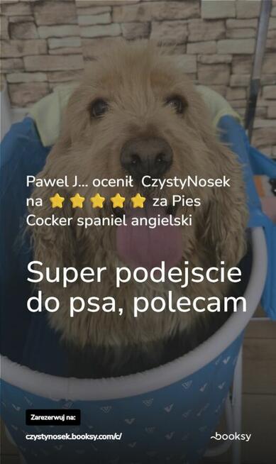 SPA dla psów / kotów