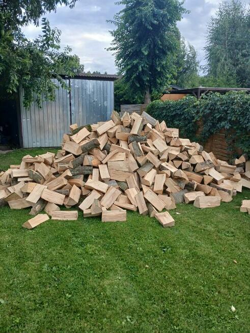 Sprzedam drzewo bukowe