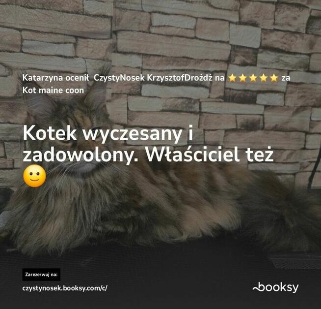 SPA dla psów / kotów