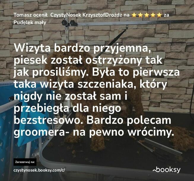 SPA dla psów / kotów