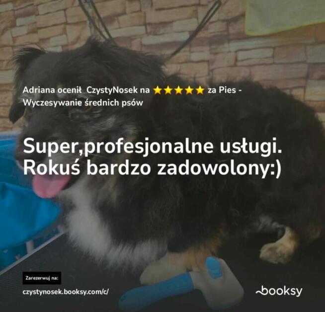 SPA dla psów / kotów