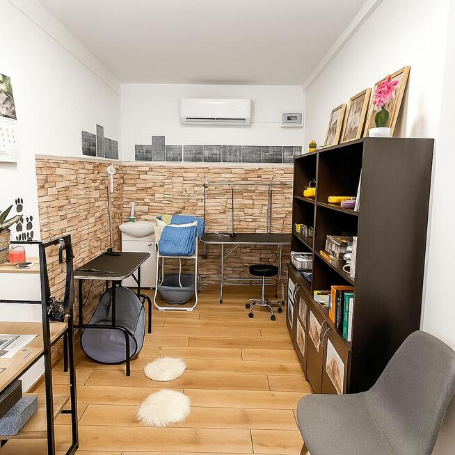 SPA dla psów / kotów