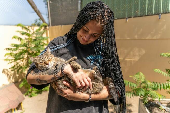 Fantazja - radosna i milusińska, lubi towarzystwo kotów