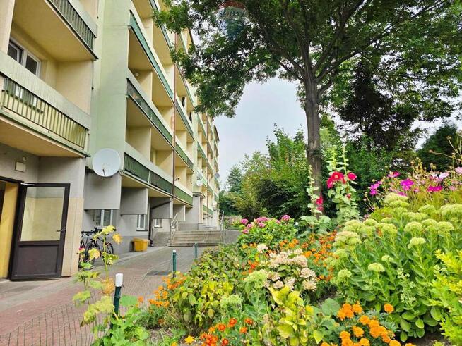 Centrum, a jednak cisza i zieleń za oknem!
