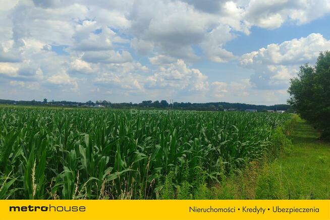 Sprzedam działkę rolno-budowlaną,1.4ha, Dąbrowice