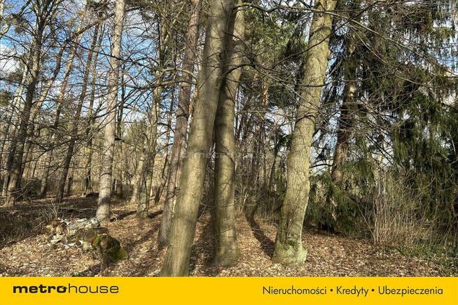 Działka w cichym zakątku Konstancina Jeziornej