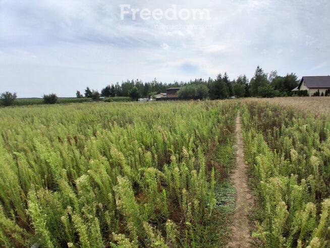 Działka budowlana w Handlowym Młynie