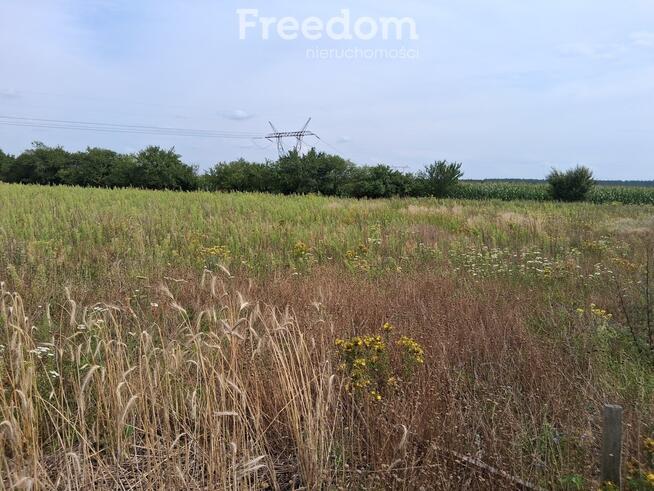 Działka budowlana w Handlowym Młynie