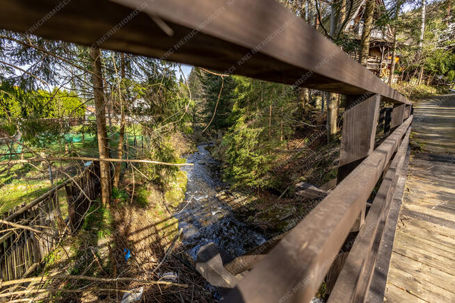 Dom w górach nad górskim strumykiem - polecamy!