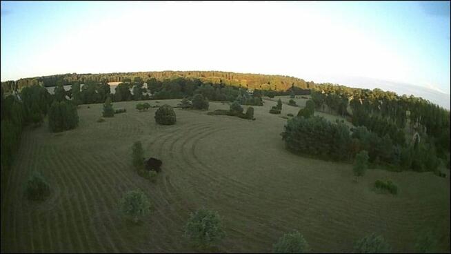 Działka budowlana Słójka gm. Szudziałowo Dziewiczy Ług,