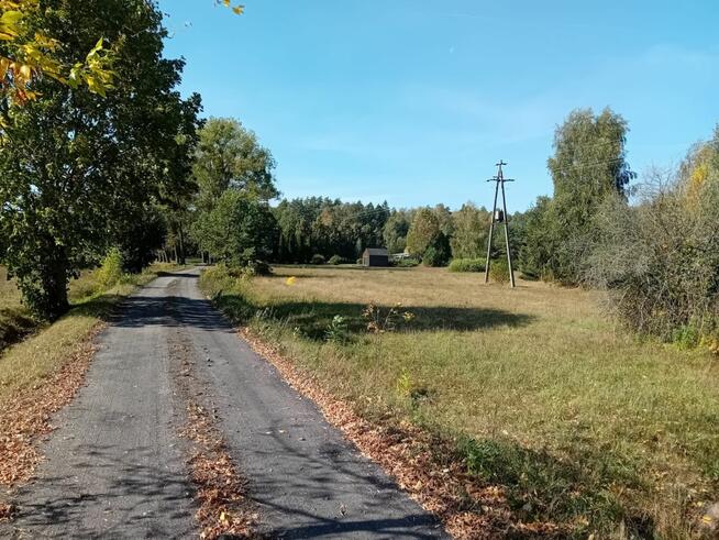 Działka budowlana Słójka gm. Szudziałowo Dziewiczy Ług,
